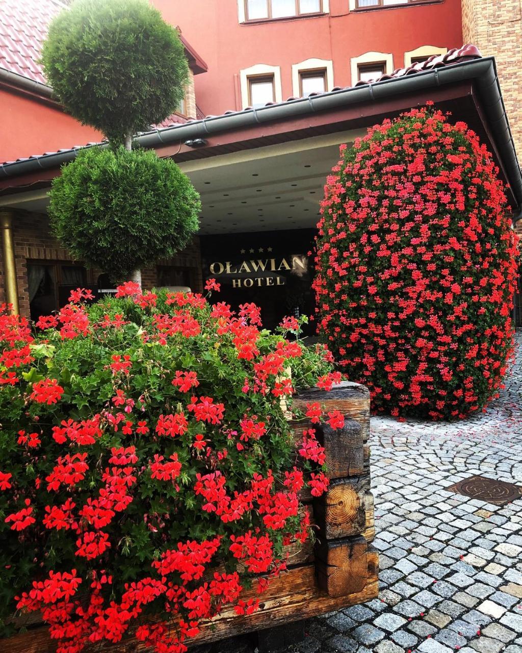 Olawian Hotel Olawa Luaran gambar